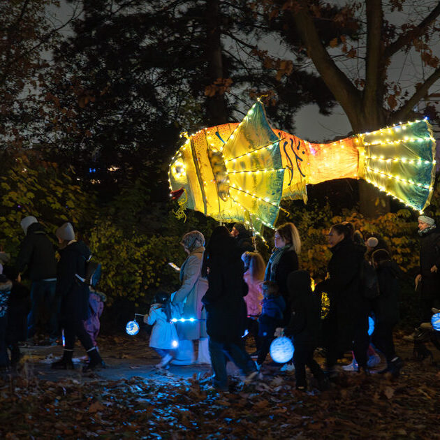 DSC02024-Verbessert56.Abismales-Martinstag-11-11-2024-by-ralf-k-lang1500x1000-e1734007445810-630x630